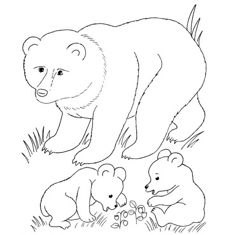 Bear Mother And Bear Cubs Coloring Page